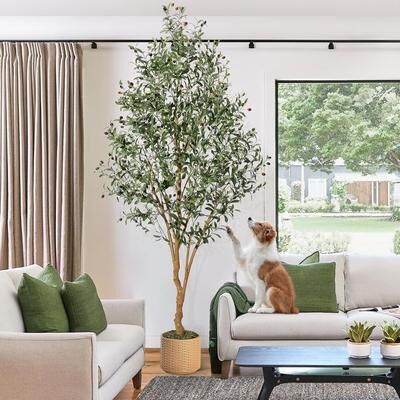 Yun Olive Trees Artificial Indoor,Tall Artificial Olive Plants - Tall Faux Olive Tree