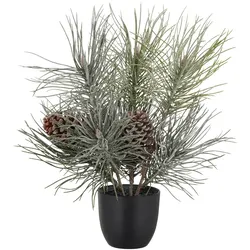 CREATIV green künstliche Pflanze Kiefer mit Zapfen geeist, 38cm, grün
