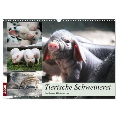 Tierische Schweinerei (Wandkalender 2026 DIN A3 quer), CALVENDO Monatskalender