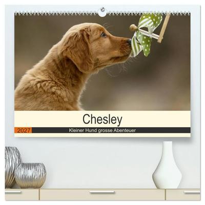 Chesley Kleiner Hund grosse Abenteuer (hochwertiger Premium Wandkalender 2027 DIN A2 quer), Kunstdruck in Hochglanz