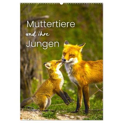 Muttertiere und ihre Jungen (Wandkalender 2027 DIN A2 hoch), CALVENDO Monatskalender