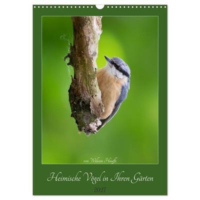 Heimische Vögel in Ihren Gärten (Wandkalender 2027 DIN A3 hoch), CALVENDO Monatskalender