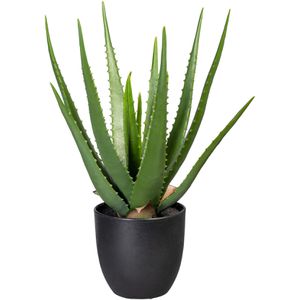Creativ-green Kunstpflanze Aloe Vera, im Topf, Höhe 47 cm