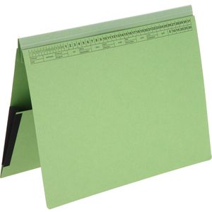 SoldanPlus Hängehefter Orgalex, 1207708, A4, 2x Kaufmännische Heftung, Tasche, grün, Karton, 1 Stück