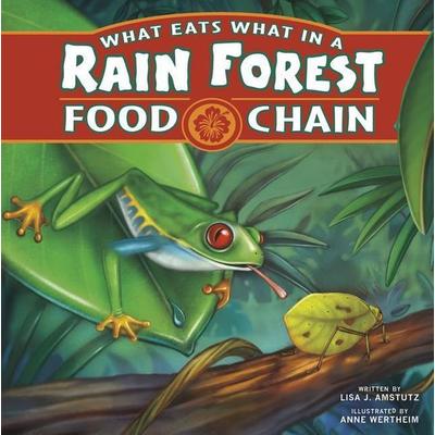 What Eats What in a Rain Forest Food Chain, Taschenbuch von Lisa J. Amstutz, Capstone, 978-1-4048-7694-1