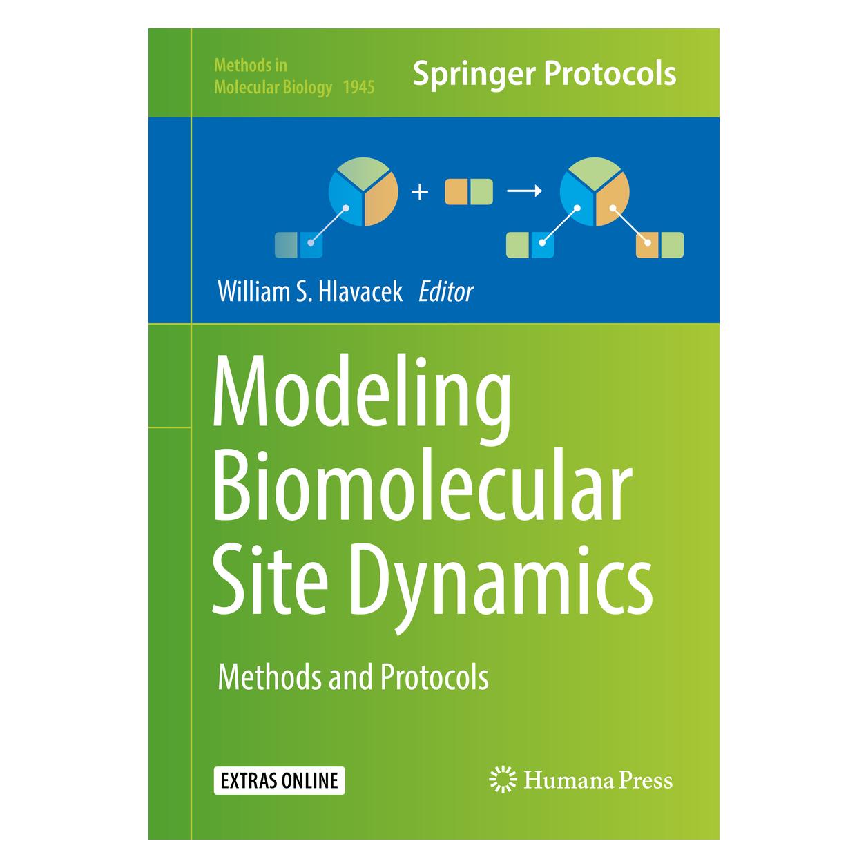 Springer Modeling Biomolecular Site Dynamics (Englisch, Hardcover, William S. Hlavacek) (9781493991006)