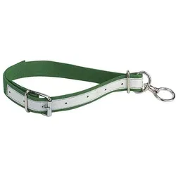 Kamer Rinderhalsband aus Nylon, Halsband + Leine