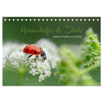 Marienkäfer & Zitate - Sieben Punkte zum Glück (Tischkalender 2026 DIN A5 quer), CALVENDO Monatskalender