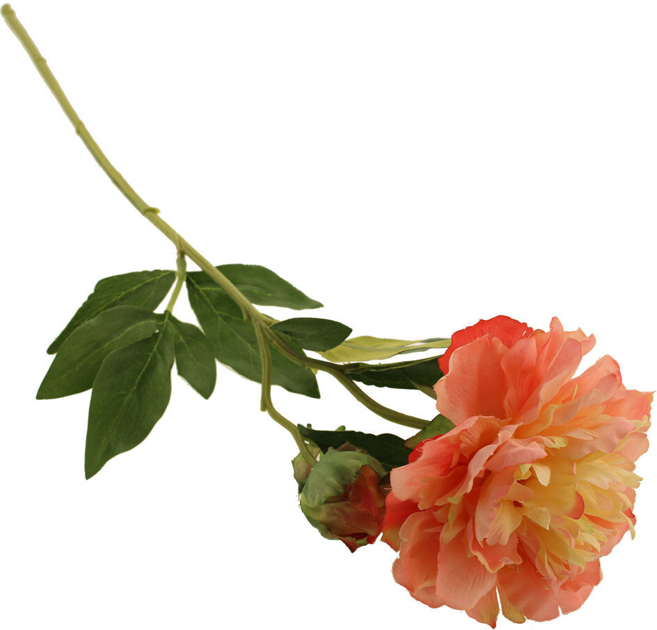 The Seasonal Aisle 66 cm H Peony Orange 66cm H X 9cm W X 9cm D