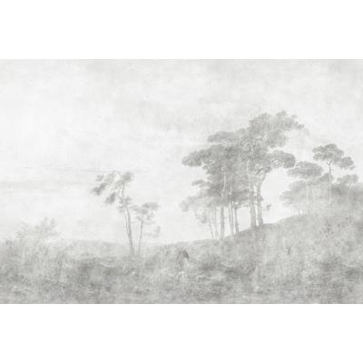 Fototapete LIVING WALLS "Walls by Patel Romantic Grove", grau, B:4m L:2,7m, Vlies, Tapeten, Vlies, Wand