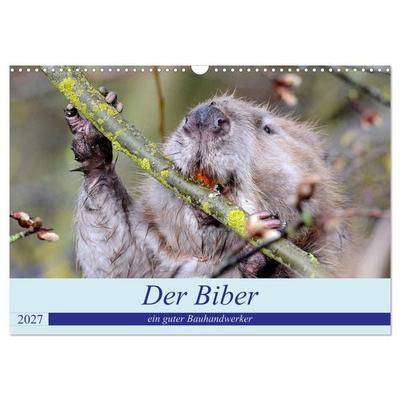 Der Biber, ein guter Bauhandwerker (Wandkalender 2027 DIN A3 quer), CALVENDO Monatskalender