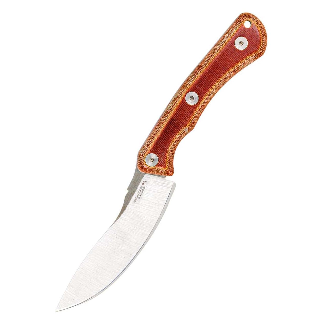 Condor Tool & Knife Sport XERO Stinger Knife (10.67 cm) (35387255)