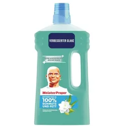 Meister Proper Allzweckreiniger »Frühlingserwachen« 1L grün