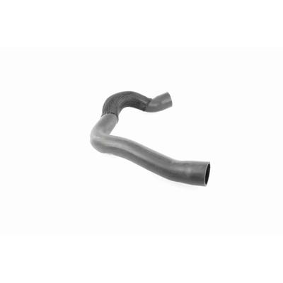 VAICO Ladeluftschlauch Original Qualität v240679 für ALFA ROMEO
