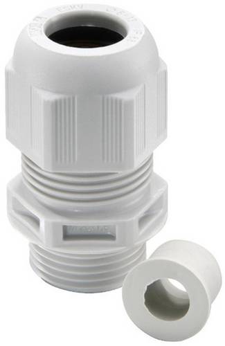 Wiska 10064996 Kabelverschraubung M32 Polyamid Schwarz (RAL 9005) 25St.