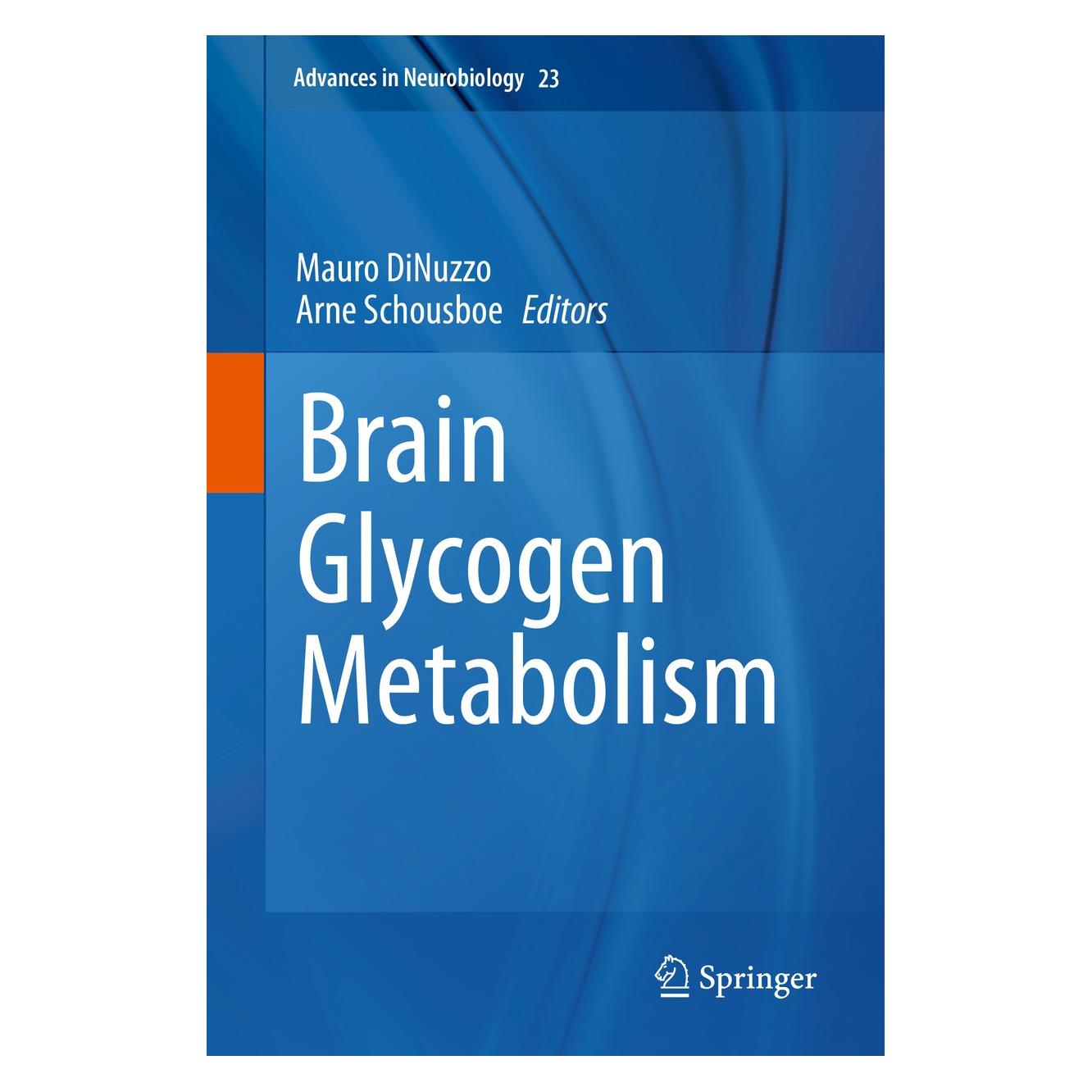 Springer Brain Glycogen Metabolism (Englisch, Hardcover, Arne Schousboe, Mauro DiNuzzo) (9783030274795)