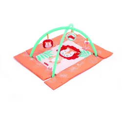 LUDI, Krabbeldecke + Spielbogen, 20017
