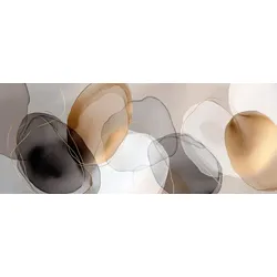 EUROART Glasbild 50 x 125 cm Organic Shapes V Glas Grau