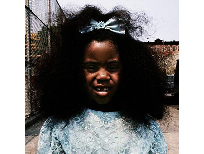 Black Terry Cat