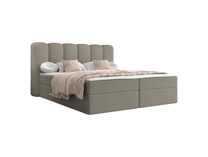 BOXBETT Softi 1 Boucle - H3