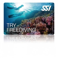 Try Freediving im Indoor Pool