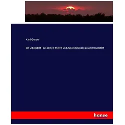 Ein Lebensbild - aus seinen Briefen und Auszeichnungen zusammengestellt, Fachbücher von Karl Gerok