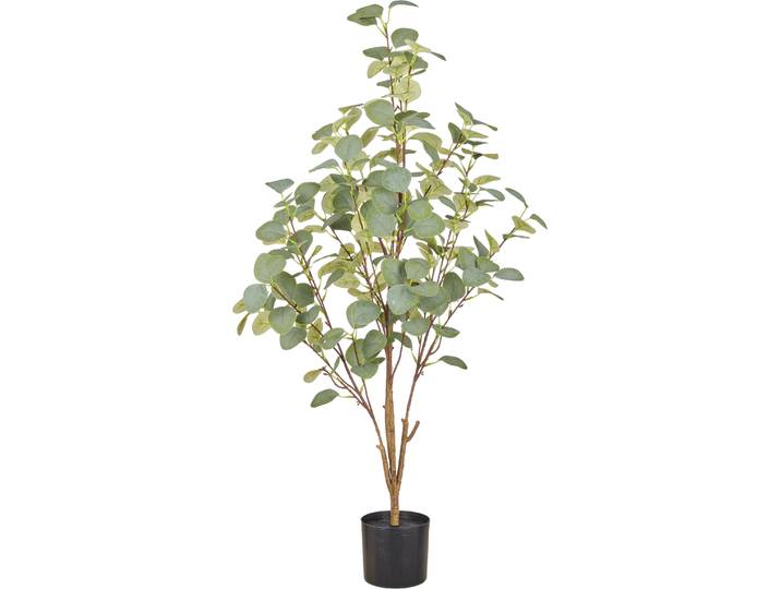 Kunstpflanze CREATIV GREEN Eukalyptus , grün, H:100cm, Obermaterial: 75% Polyester, 25% Kunststoff, Kunstpflanzen, Kunstpflanze, mit naturgetreuem Blattwerk