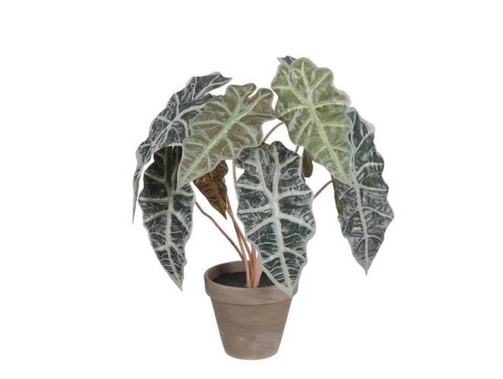 Mica Decorations kunstplant Alocasia