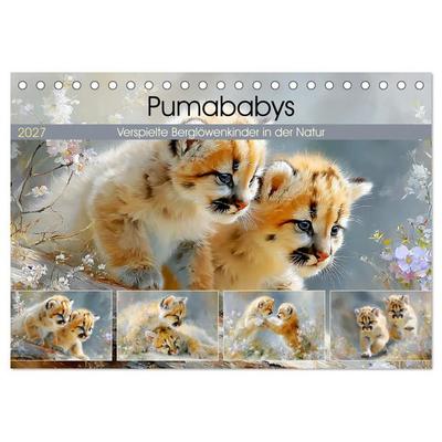 Pumababys. Verspielte Berglöwenkinder in der Natur (Tischkalender 2027 DIN A5 quer), CALVENDO Monatskalender