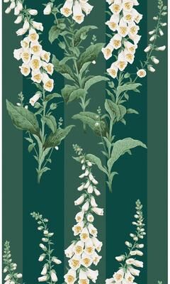 Graham & Brown Foxglove Stripe Teal Wallpaper