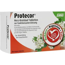 Protecor Herz-Kreislauf Tabl.z.funktionsunt.salus 250 ST
