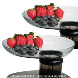 2er Set Lentz Einfülltablett ES-FT für Juice King 600 + 800 sowie ES 3, 4, 5