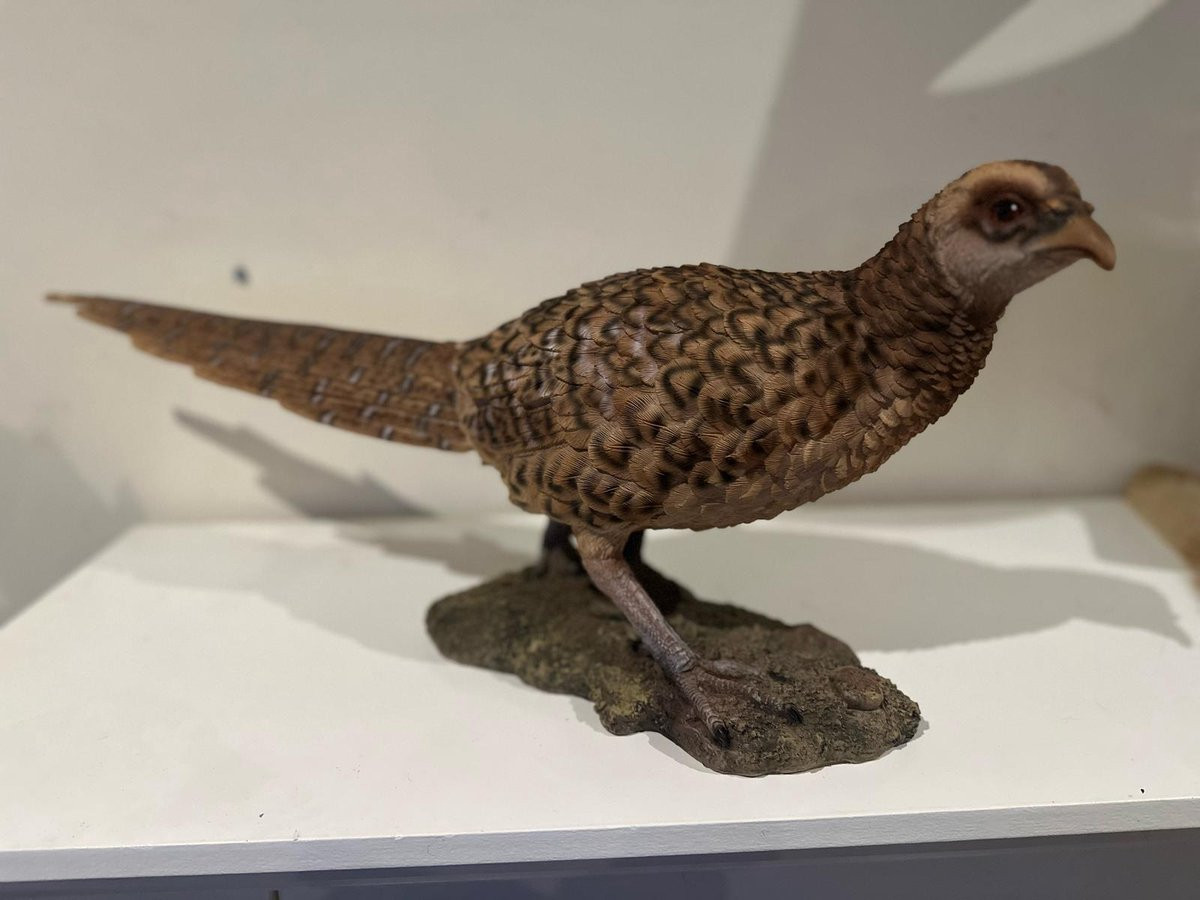 Goodyz Wilde dieren Vogels Fazant staand originele kleuren