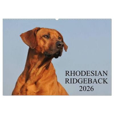 Rhodesian Ridgeback 2026 (Wandkalender 2026 DIN A2 quer), CALVENDO Monatskalender