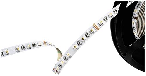 Barthelme 51542434 LED-Streifen 24V 5000mm RGBW 5m