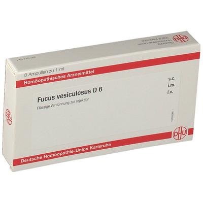Fucus Vesiculosus D 6 Ampullen 8x1 ml