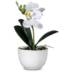 Kunstblume Orchidee 14 cm Kunststoff Beige Creme XS (Extra Small)