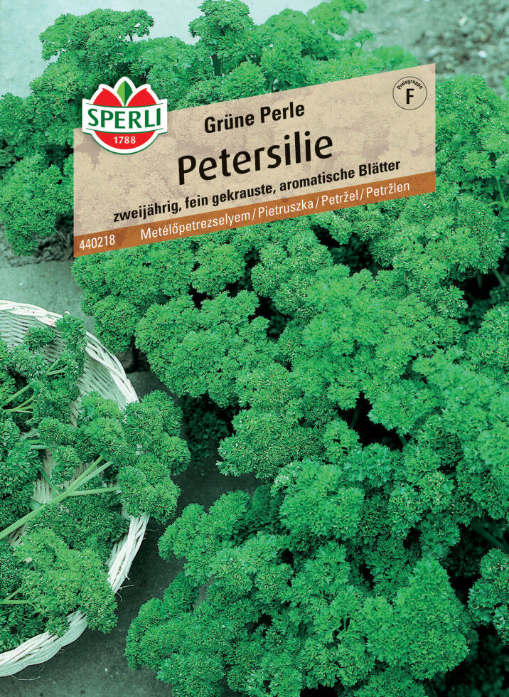 Sperli Petersilie Grüne Perle