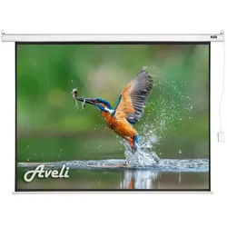 Aveli Electric projection screen, 240x180 (4:3) (118", 4:3), Leinwand, Weiss