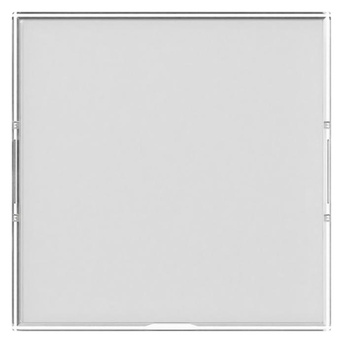 Gira Wippe BSF gross (367600)