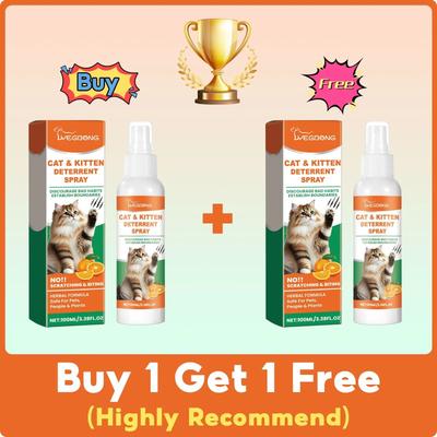 Furniture Preservation Olfactory Module 200ml