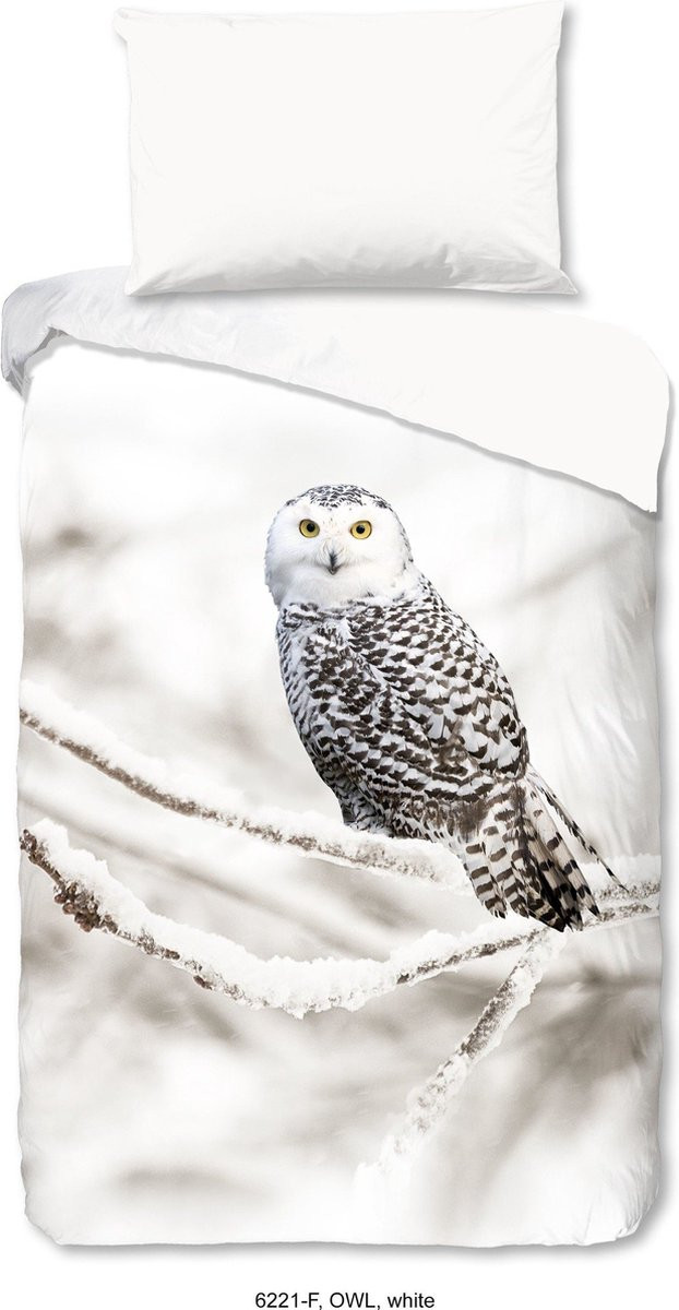 Snowy Owl voor volwassenen