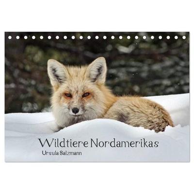 Wildtiere Nordamerikas (Tischkalender 2027 DIN A5 quer), CALVENDO Monatskalender