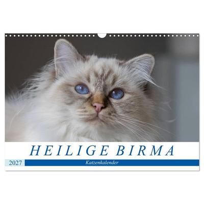Heilige Birma Katzenkalender (Wandkalender 2027 DIN A3 quer), CALVENDO Monatskalender