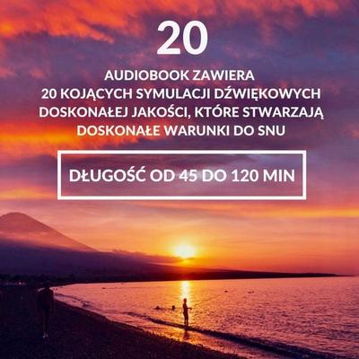 Dźwięki natury, które pomogą Ci zasnąć - Patrick Lynen, Audio, 4057664510709