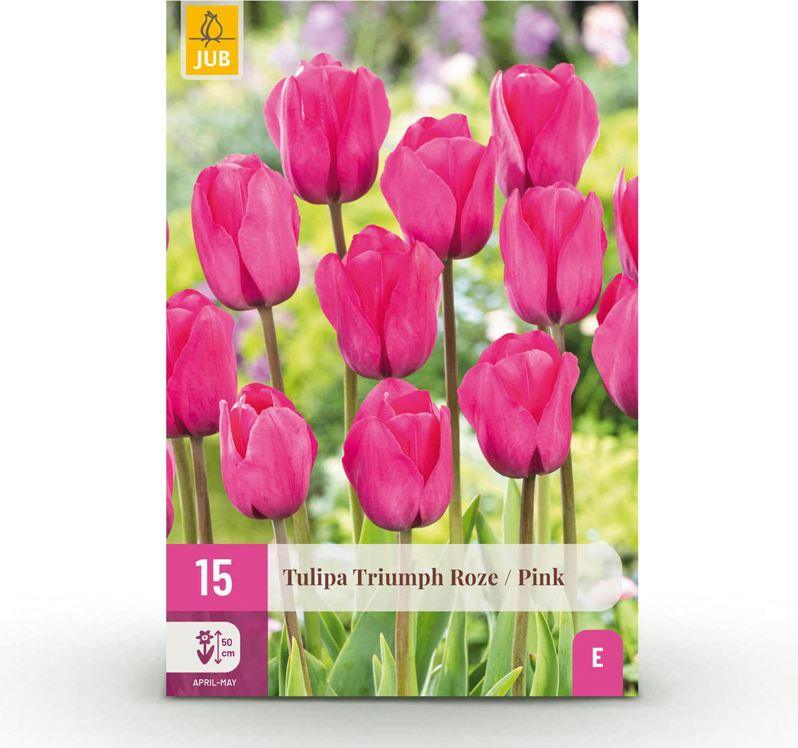 Pflanzenboutique Tulp Triumph Pink Bloembollen - Roze - 15 stuks - Bolmaat 11/12