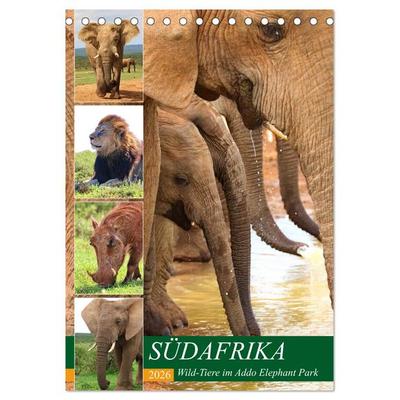SÜDAFRIKA Wild-Tiere im Addo Elephant Park (Tischkalender 2026 DIN A5 hoch), CALVENDO Monatskalender