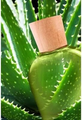Multicon Wholesale Hub THE ONLY After Microdermabrasion Moisturizer Pure Organic Aloe Vera Gel, Hydrating & Healing Skincare THE ONLY After Microdermabrasion Moisturizer Pure Organic Aloe Vera Gel, Hydrating & Healing Skincare