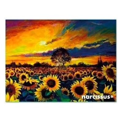 Teka PP A7 Umschlagmappe Sonnenblumen (A7) (47993581)