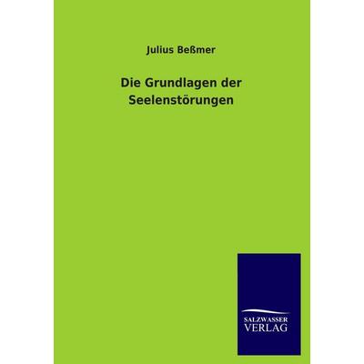 Die Grundlagen der Seelenstörungen, Taschenbuch von Julius Bessmer, Salzwasser, 978-3-8460-4319-6